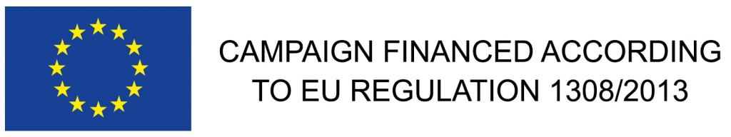 Logo EU.jpg