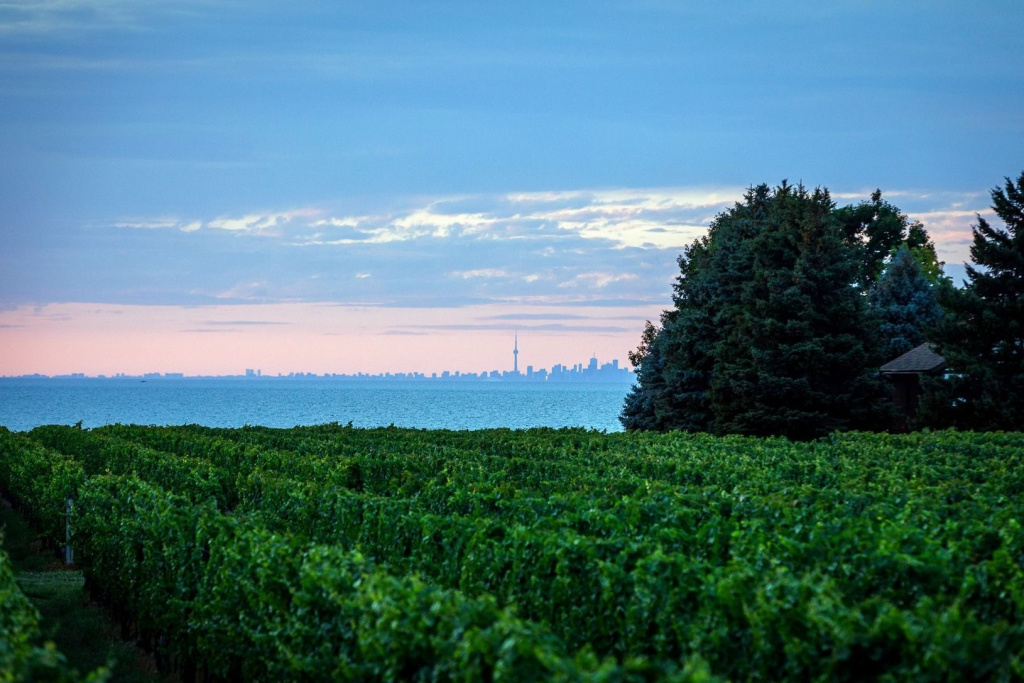 Фото: © Wine Country Ontario