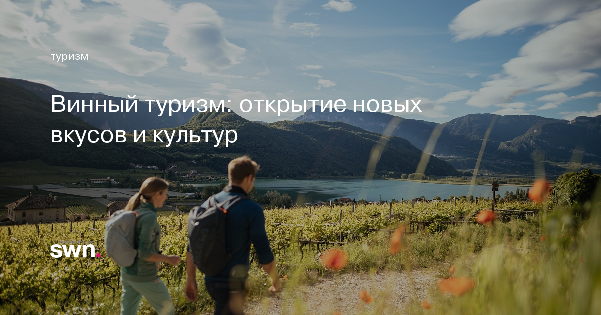 Винный туризм: открытие новых вкусов и культур | Simple Wine News