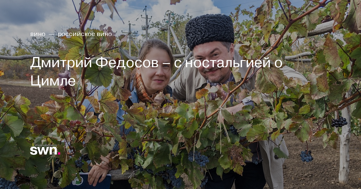 Дмитрий Федосов – с ностальгией о Цимле | Simple Wine News
