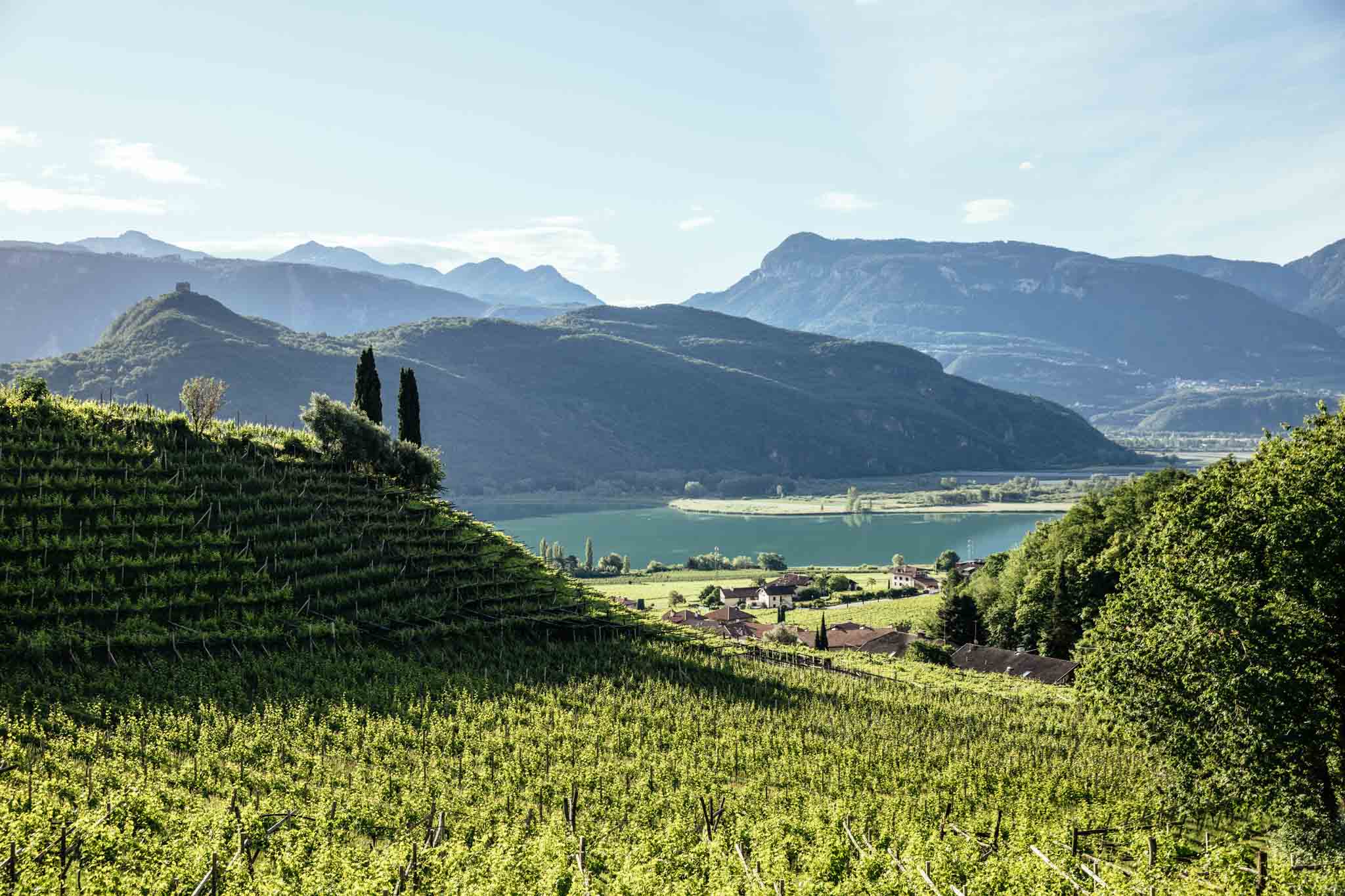 Фото: © Alto Adige Wine