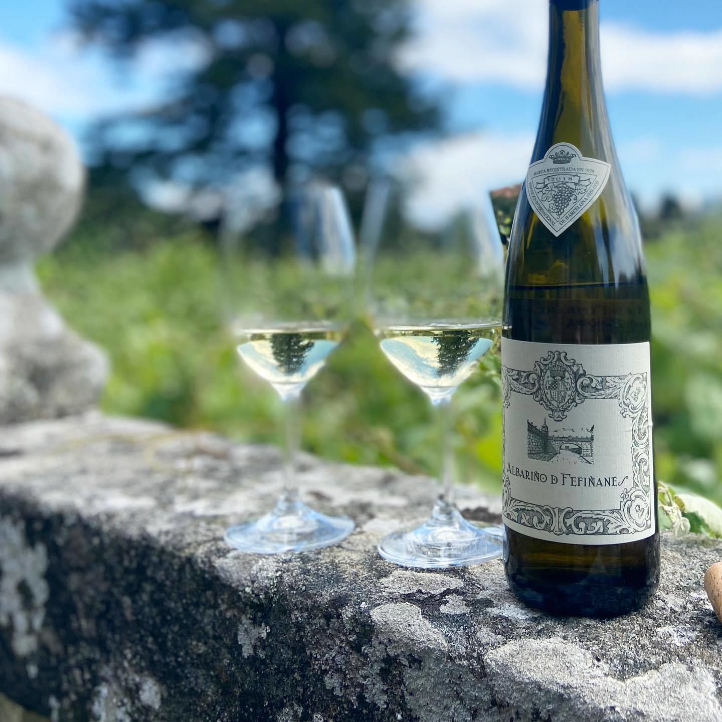 © facebook@bodegafefinanes