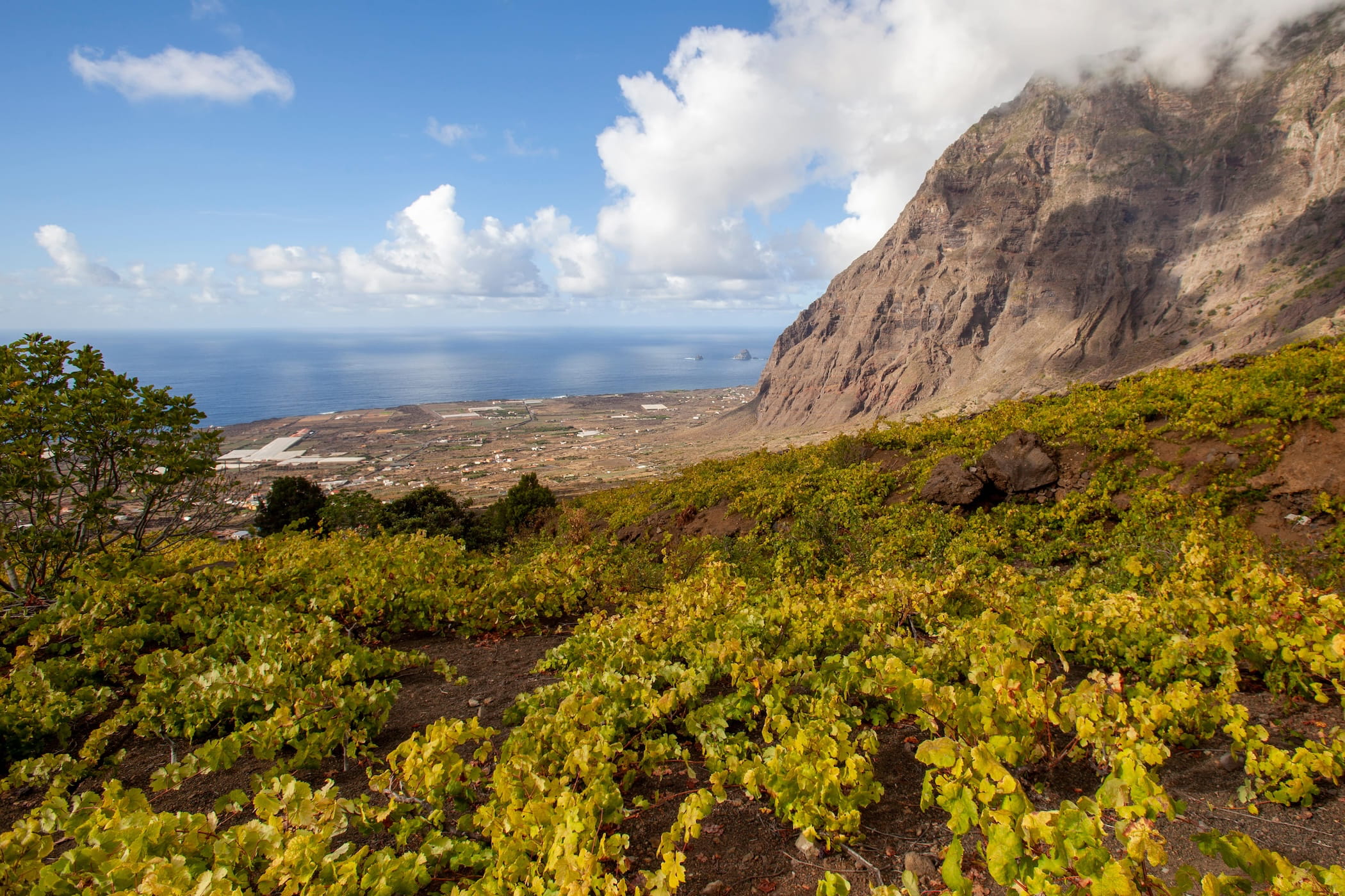 Фото: © Shutterstock