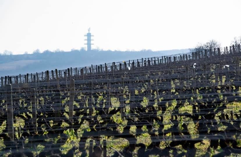 © facebook@domainedevillaine
