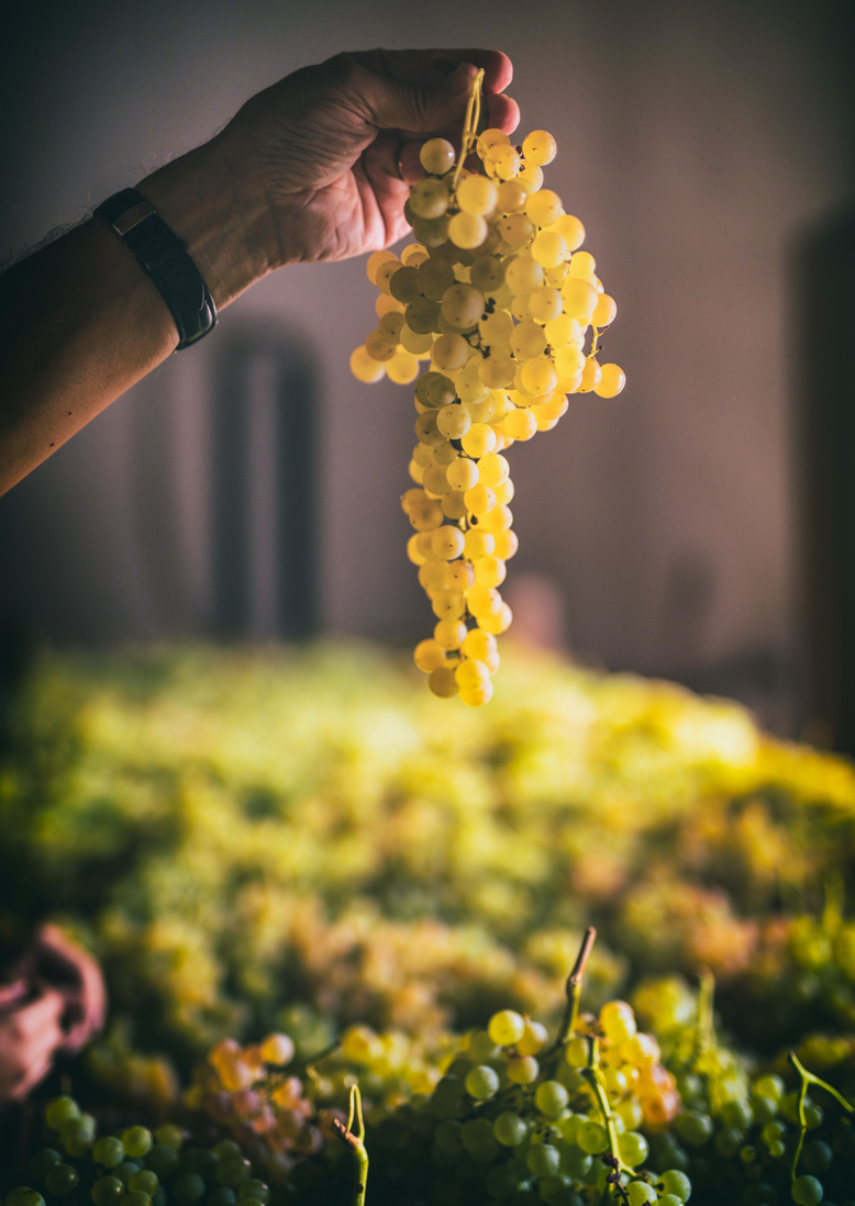 Фото: © Il Soave
