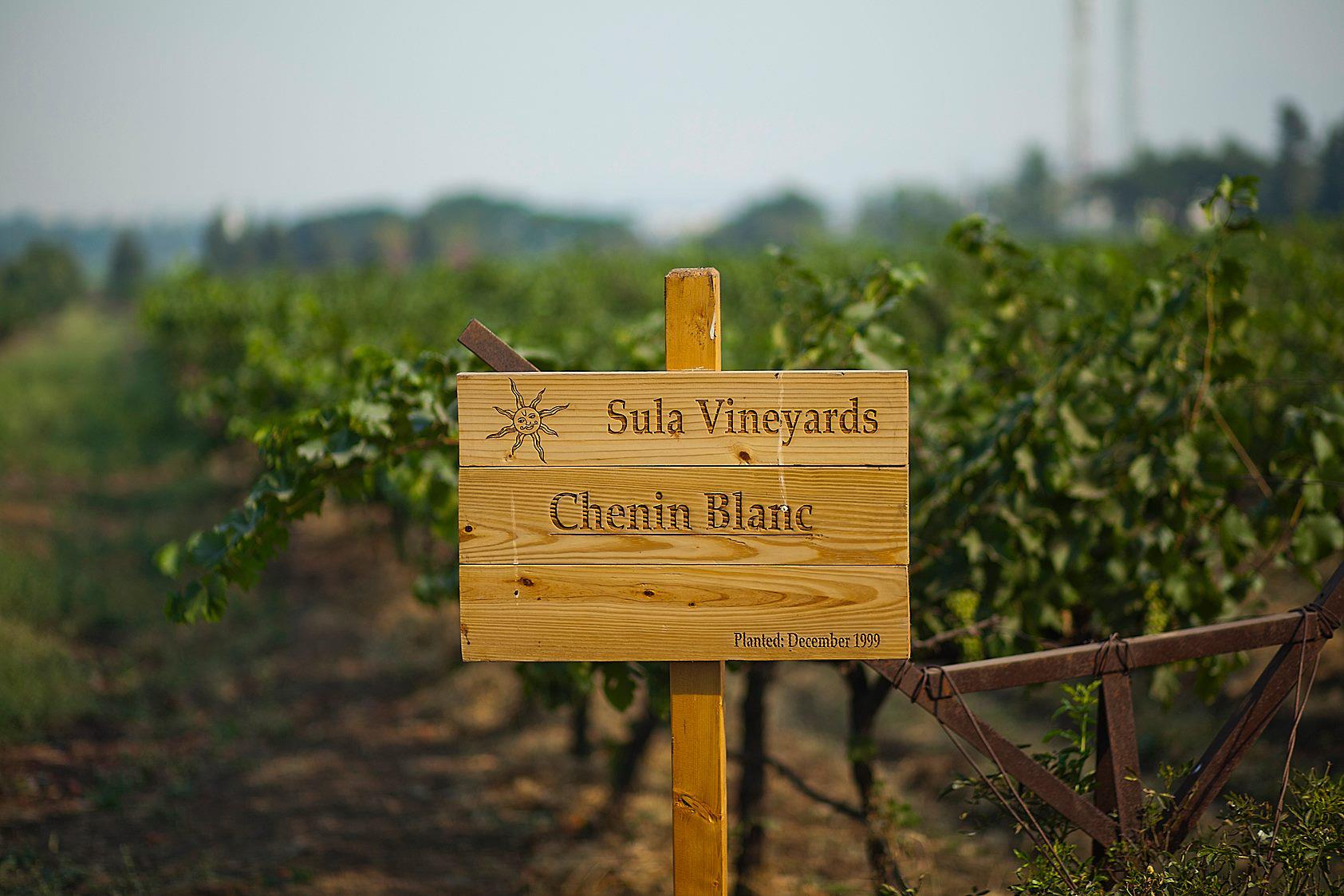 Фото: © Sula Vineyards