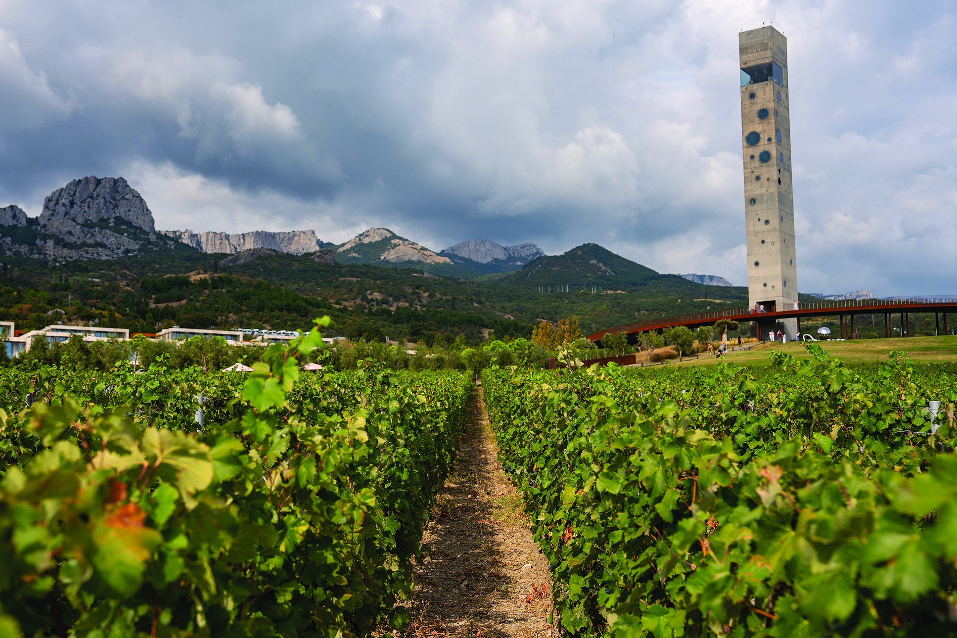 Вышел новый российский Simple Wine News: рейтинг лучших вин и 25 лет истории отрасли