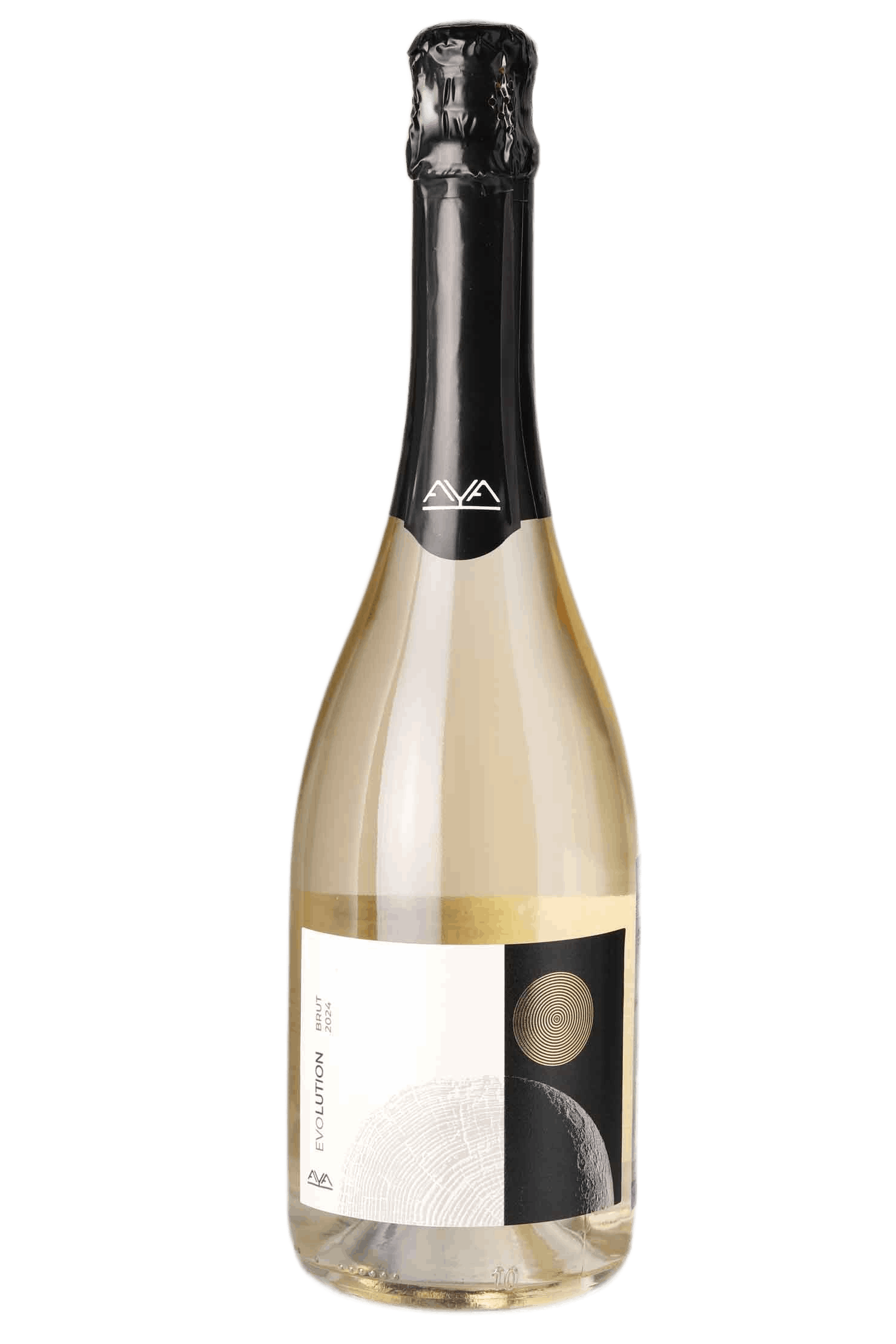 Evolution Brut 2024
