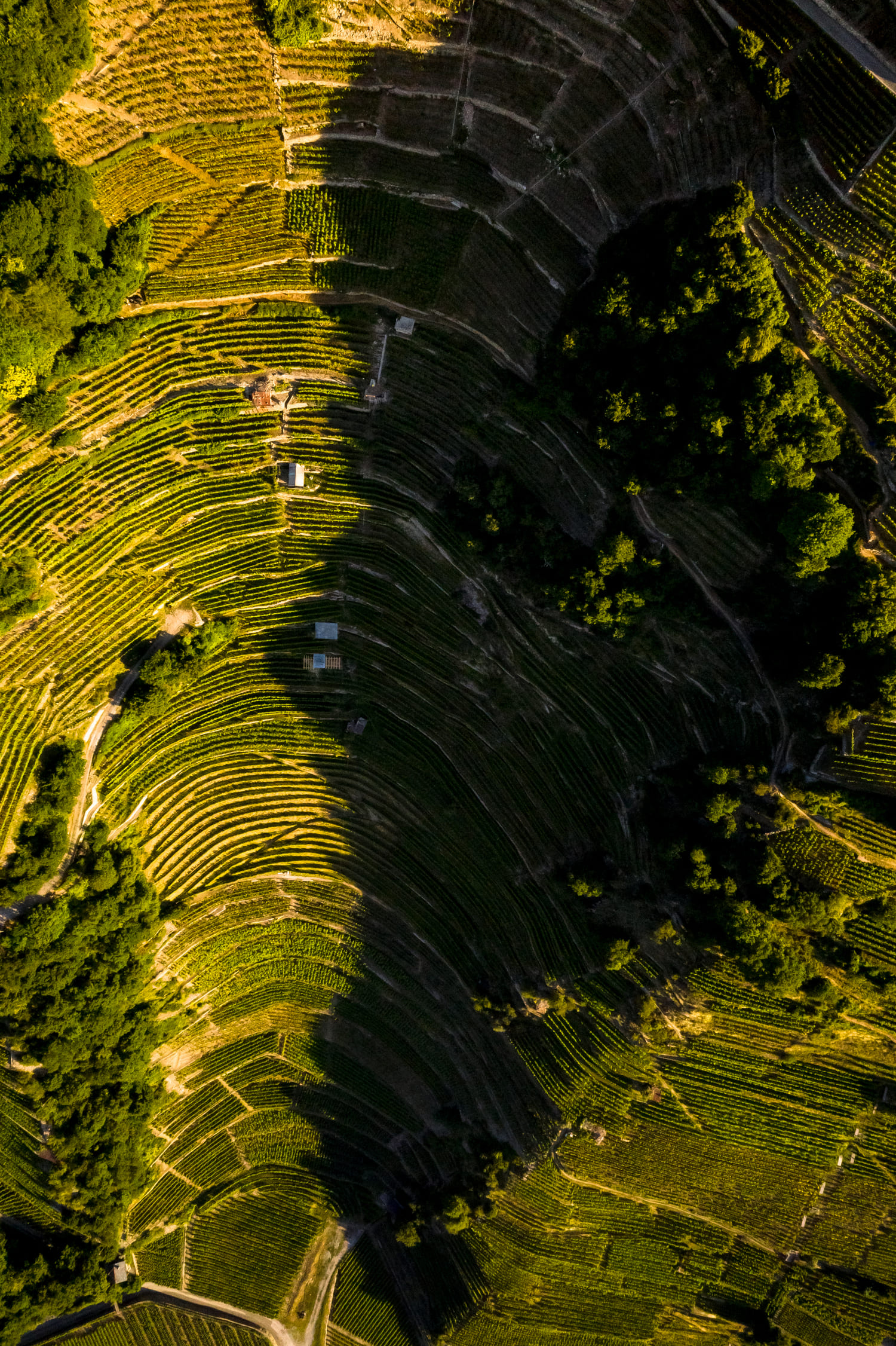Фото: © Valais Wallis Promotion/David Carlier