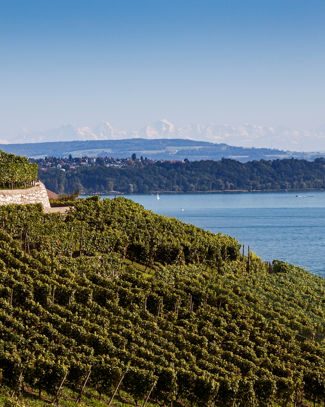 Фото: © Swiss Wine