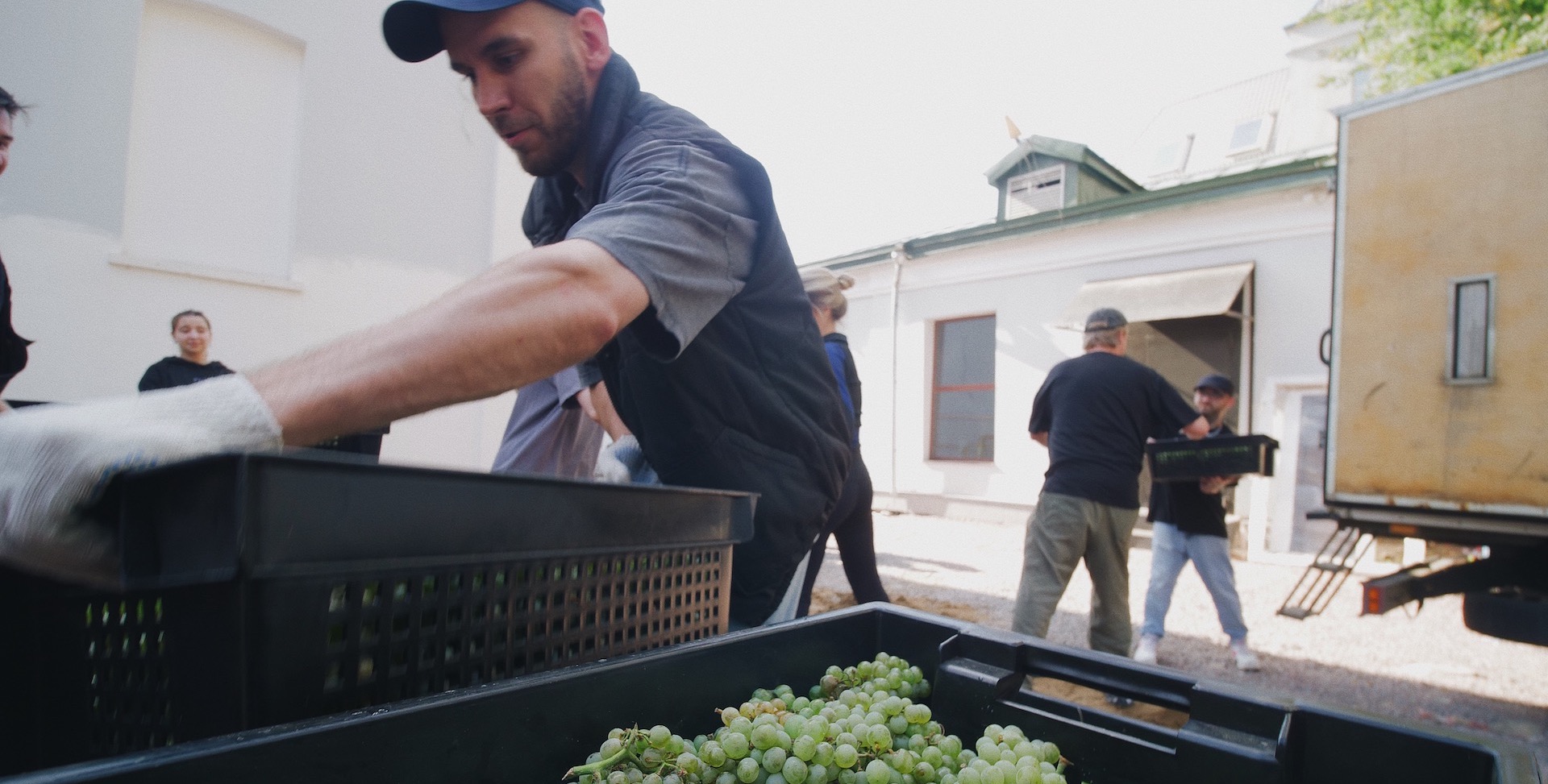 «Сезон урожая» в Urban Winery