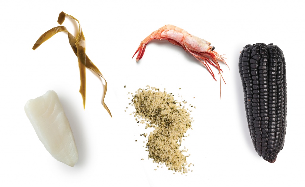 Слева направо: Клыкач антарктический; Комбу, водоросли; Конопля; Креветки магаданские