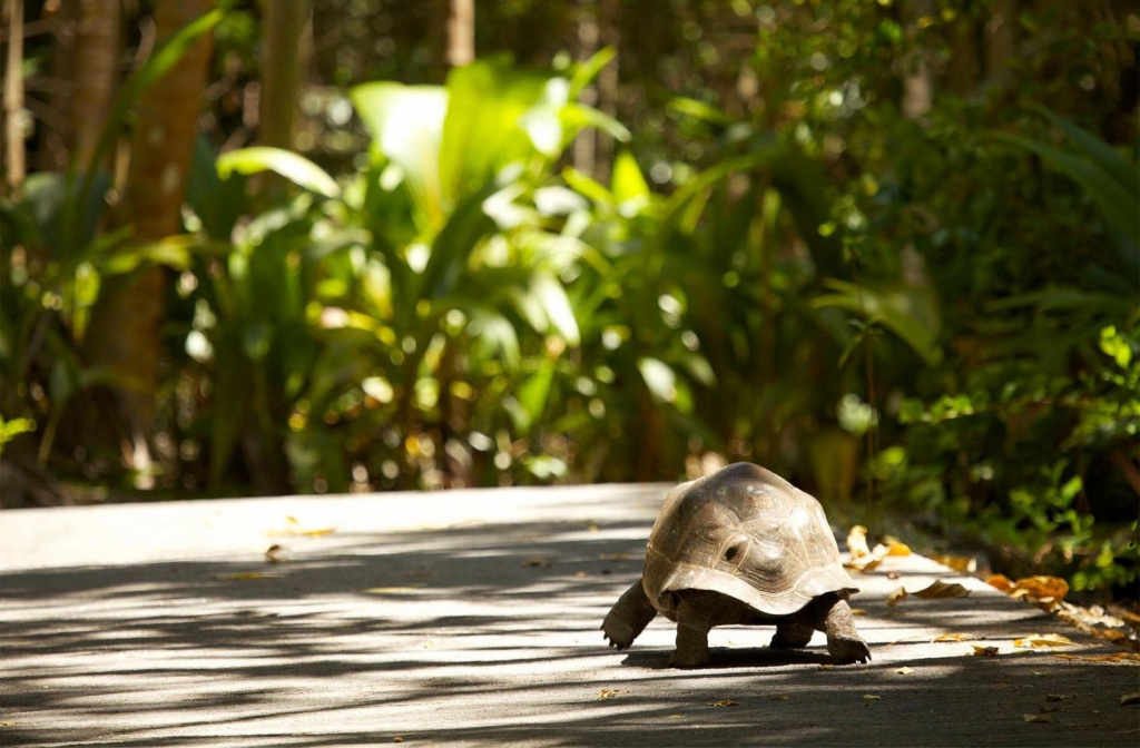 © Fregate Island Seychelles