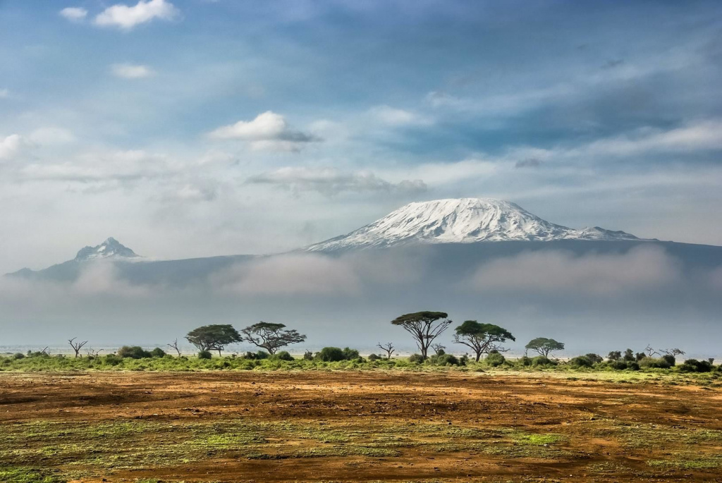 Вид на Килиманджаро © Sergey Pesterev / Unsplash