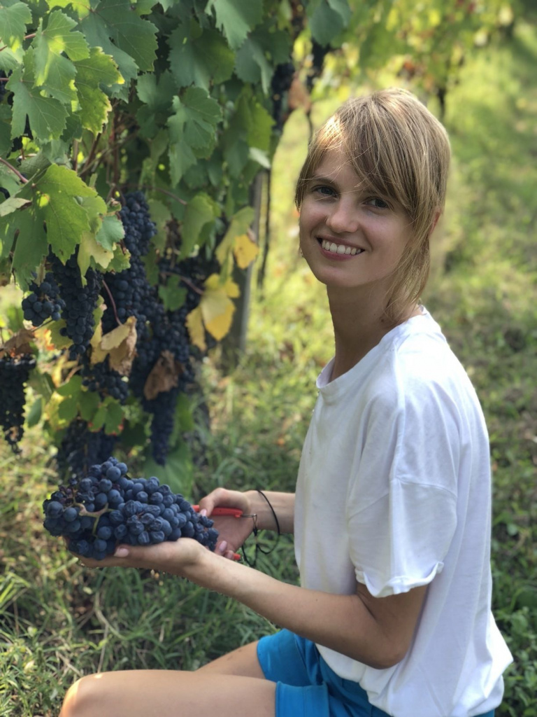 Девушка в винограднике