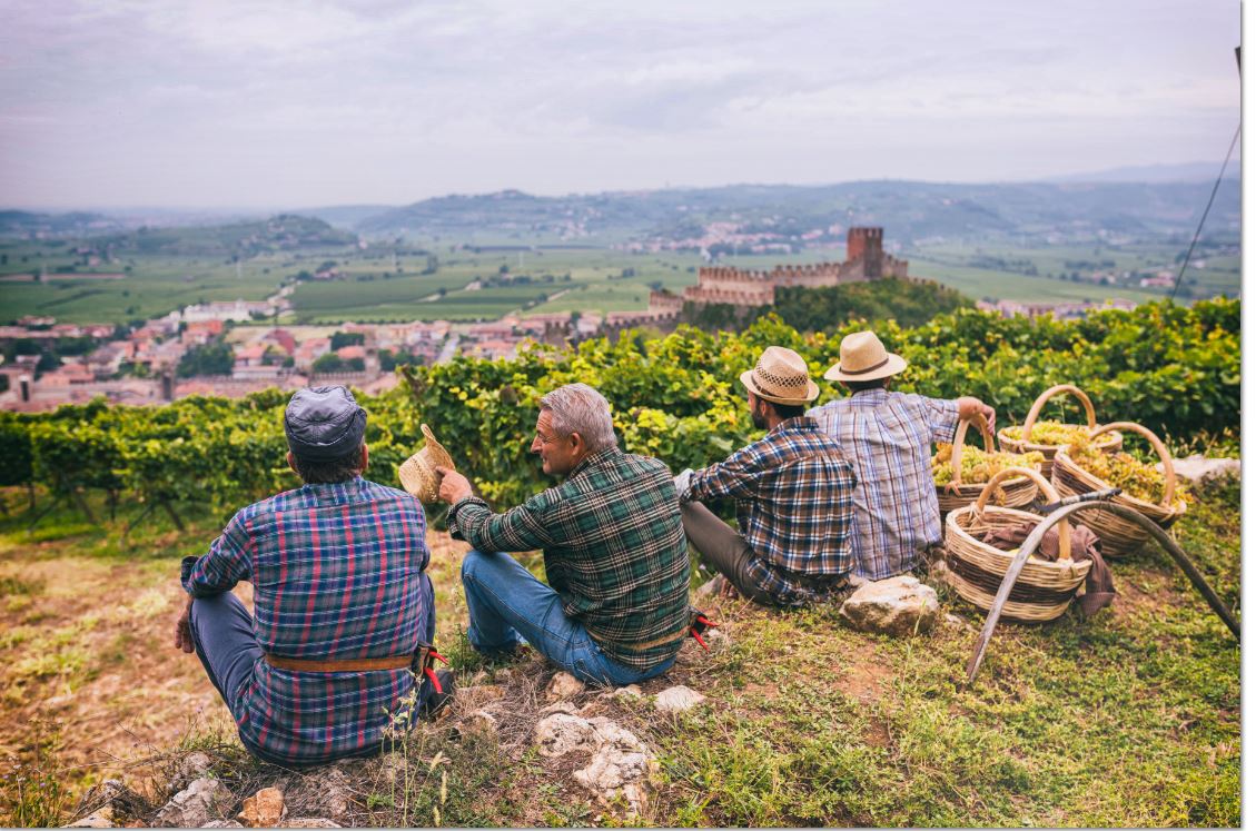 Фото: © Il Soave