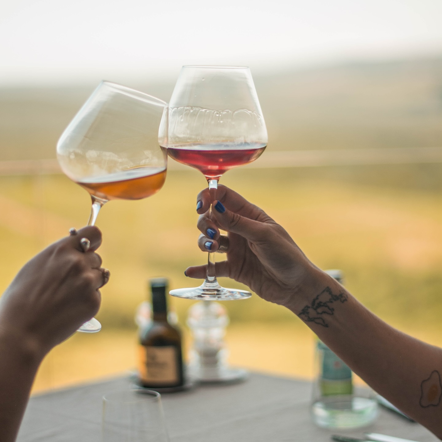 Что нового в Хорватии: наблюдения с Vinart Grand Tasting