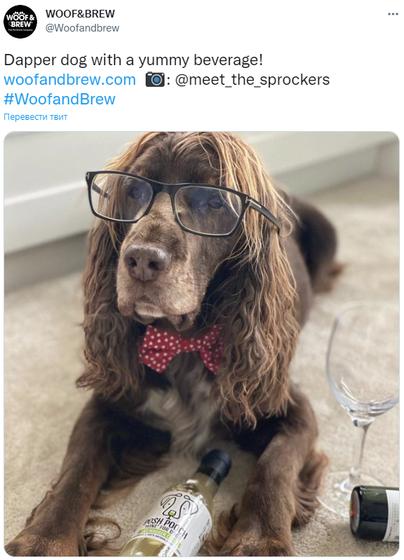 Из официального аккаунта Woof & Brew в Twitter