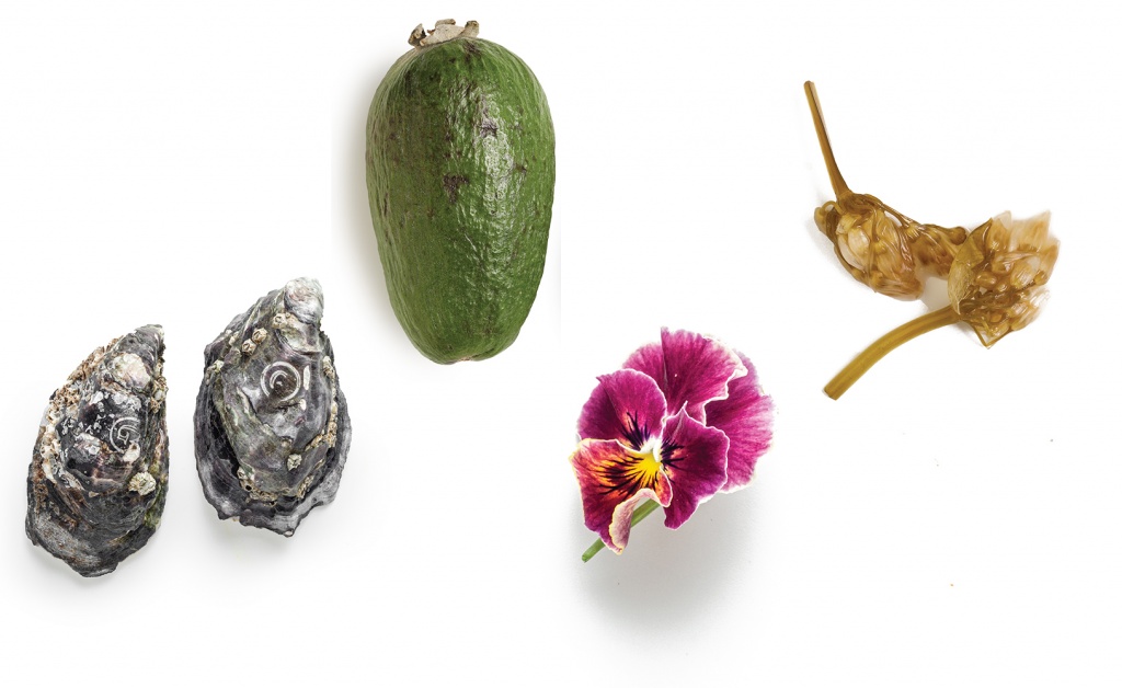 Слева направо: Устрицы жилардо; Фейхоа; Цветы пентас и анютины глазки; Цветы черемши маринованные 