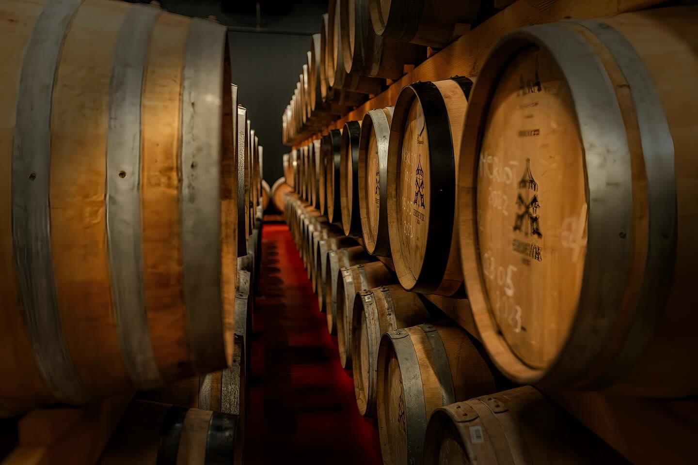 Фото: © Kovačević Winery