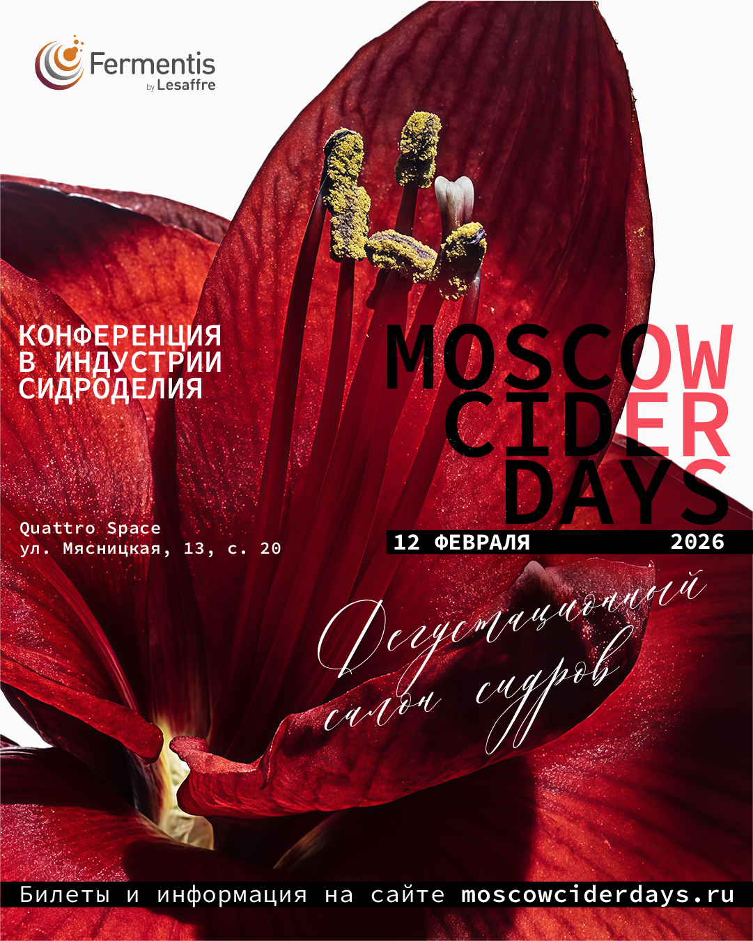 ДЕГ САЛОН.jpg