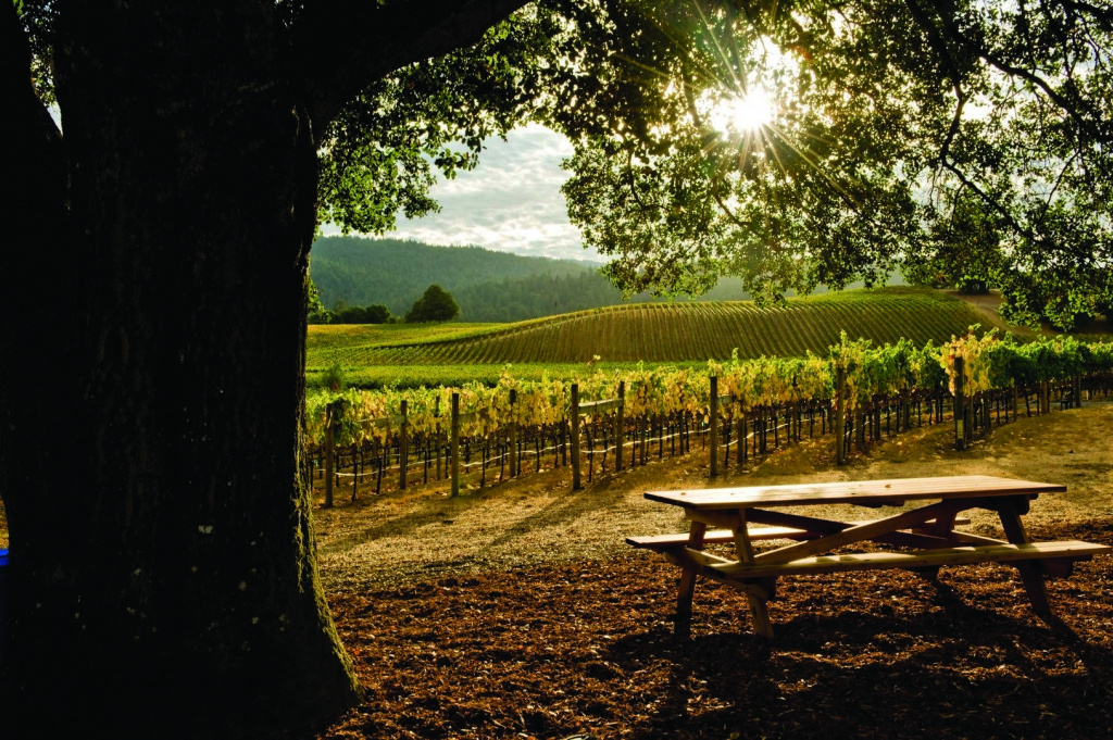 © California Wine Institute