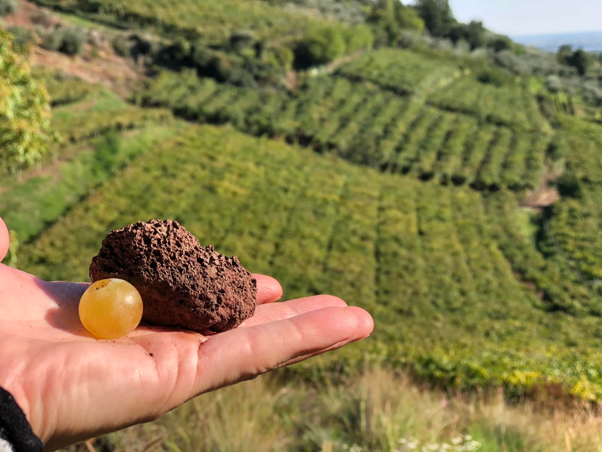 Фото: © Il Soave