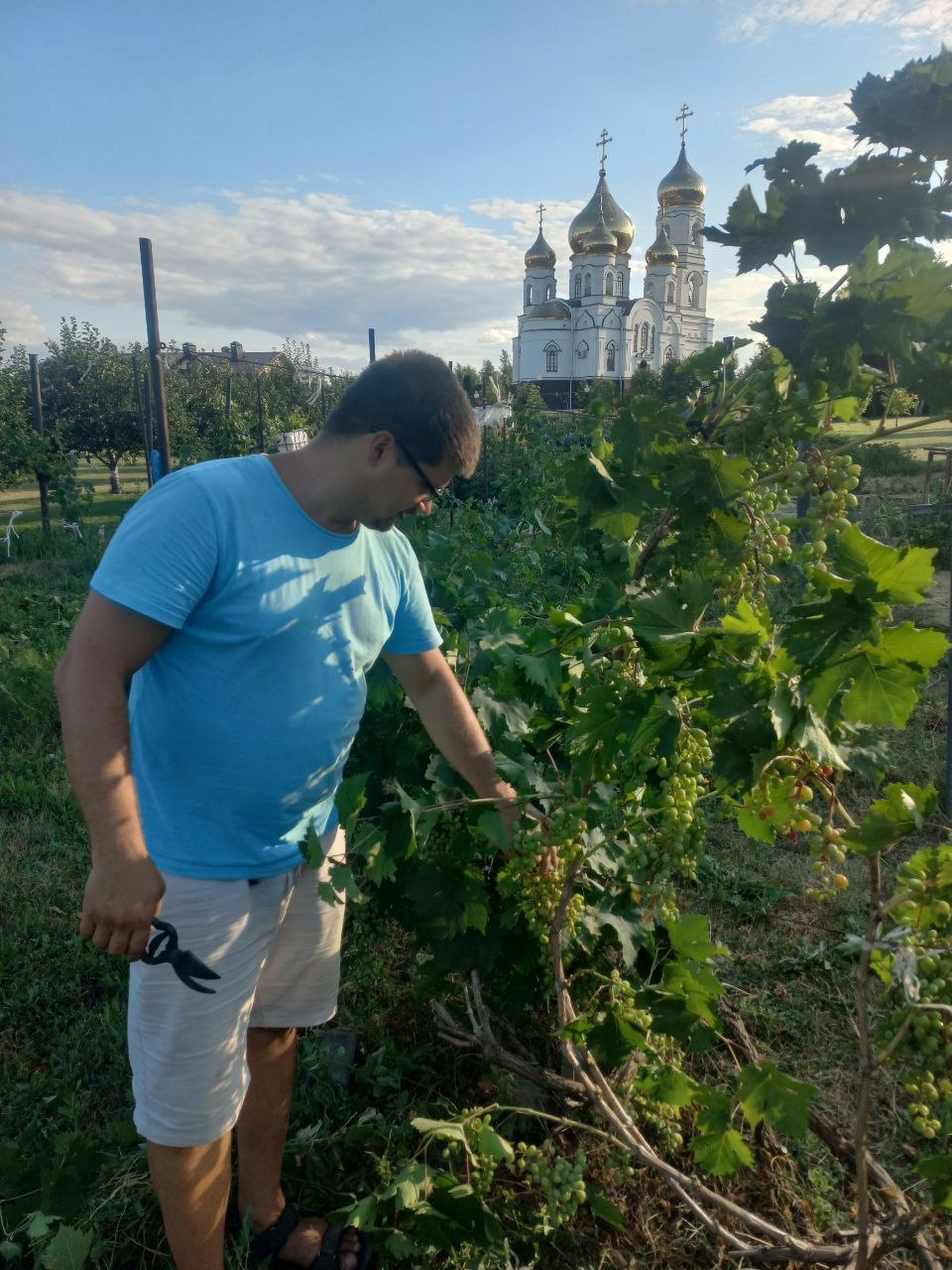 Монашеское виноделие в России