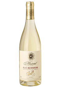 GAI-KODZOR Muscat