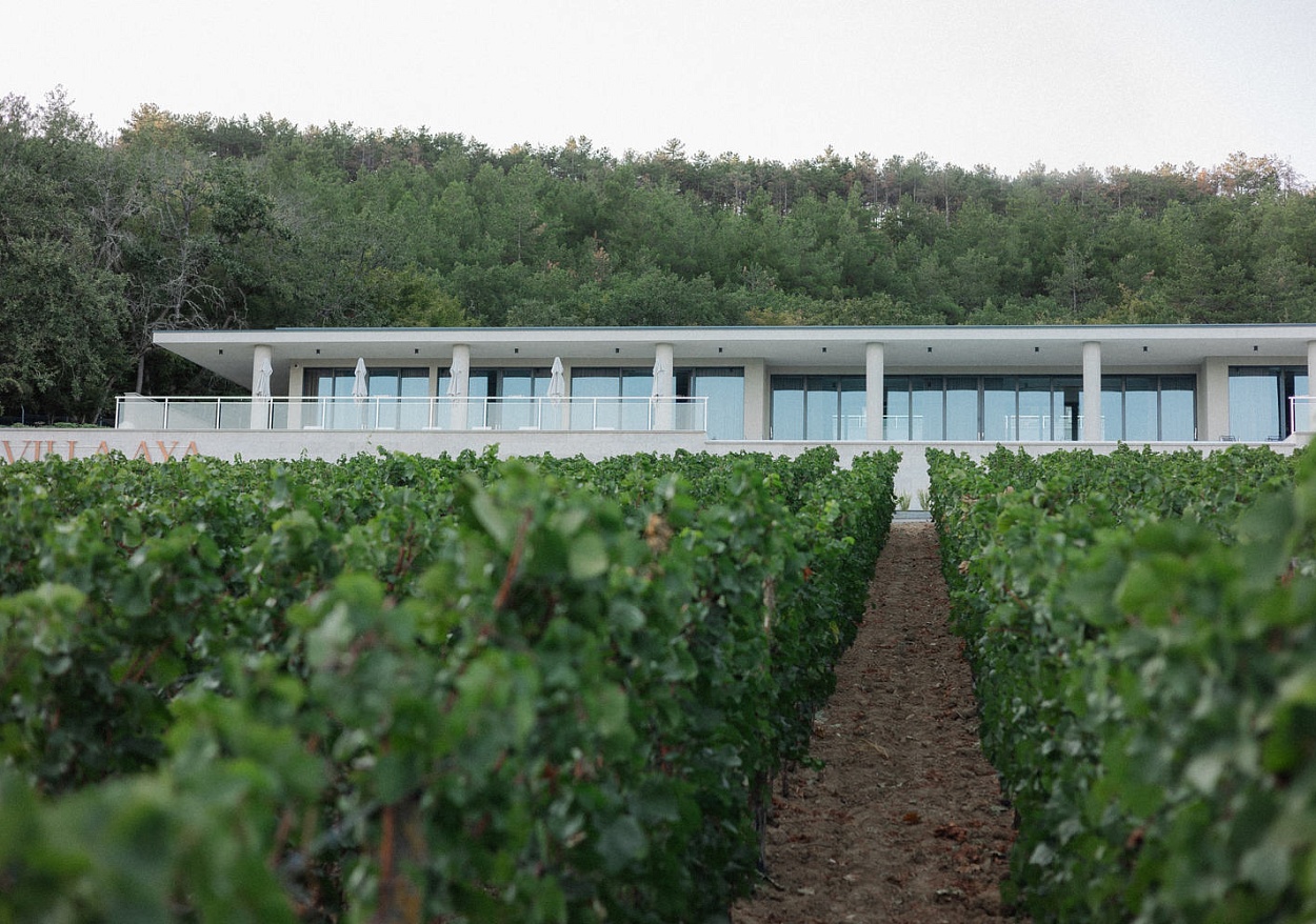 AYA Organic Winery