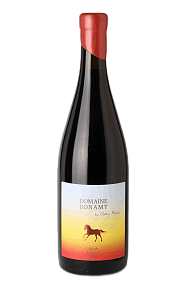 DOMAINE BONAMY Syrah